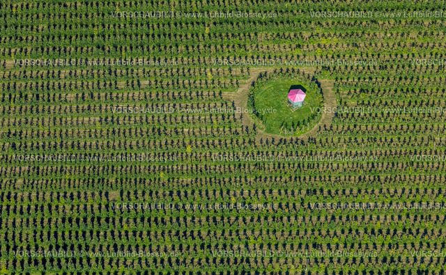 Dortmund240804580 | Mini Camping mit Sonnenschirm im Feld und Wiese, Hof Mertin Bönninghauser Straße, Formen und Farben, Hostedde, Dortmund, Ruhrgebiet, Nordrhein-Westfalen, Deutschland