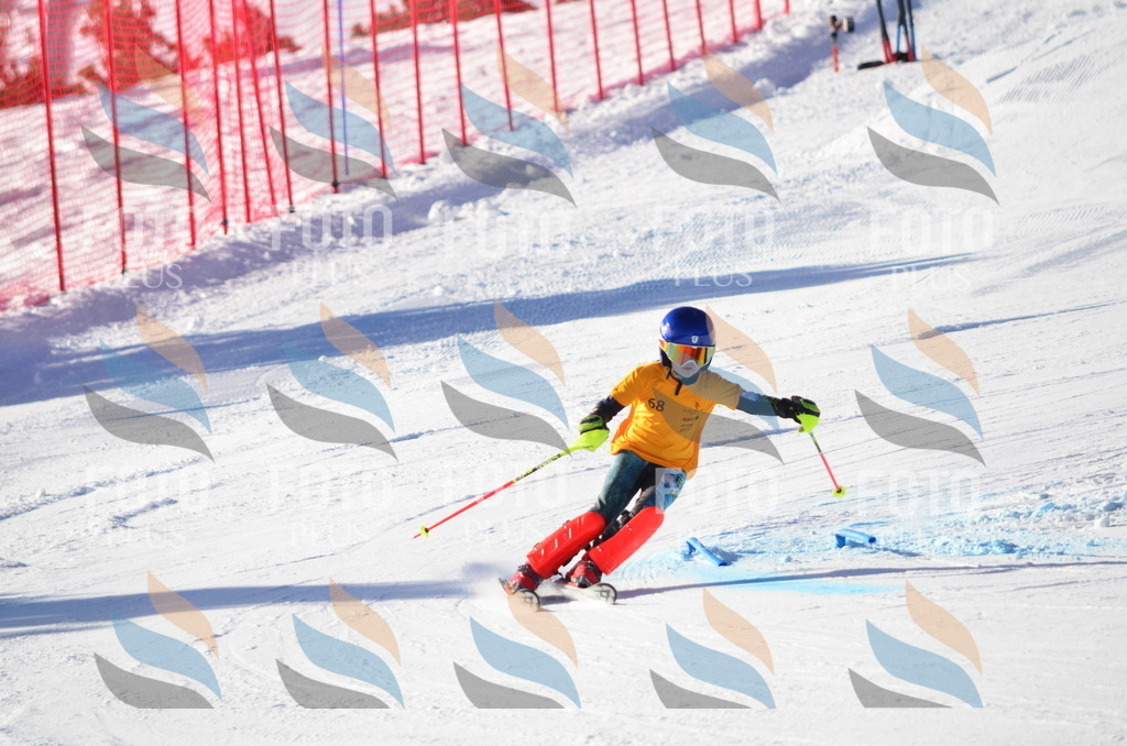 C5852 | holidayphoto