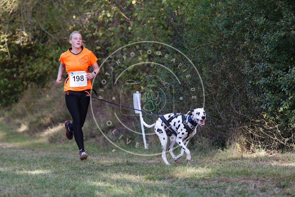 0L8A5737 | Hundefotografie, Tierfotograf, Pfotenfotografie, Fotoshooting Hund, Hunde Portrait, Hundesport, Hundeportraits, Heideshooting, Hunde, Sportfotograf, Hundefotograf, Turnierhundsport, THS,  - Realisiert mit Pictrs.com