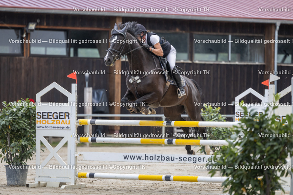 _D5A1242 | Emotionale Pferde- & People-Fotografie rund um Heidelberg, Leimen & Umgebung. Natürliche Fotos von Pferd, Mensch & Familie. Jetzt Termin sichern!