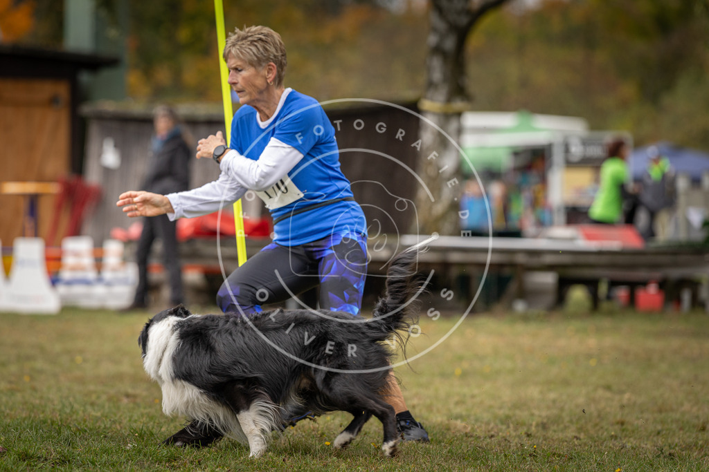 Pfotenfotografie_DV3A5529 | Hundefotografie, Tierfotograf, Pfotenfotografie, Fotoshooting Hund, Hunde Portrait, Hundesport, Hundeportraits, Heideshooting, Hunde, Sportfotograf, Hundefotograf, Turnierhundsport, THS,  - Realisiert mit Pictrs.com
