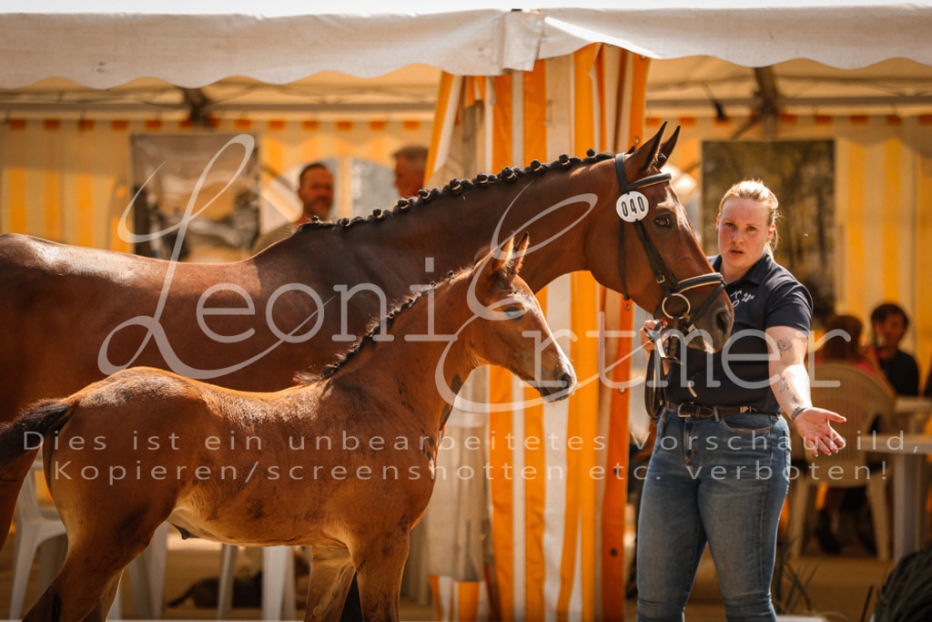 07.DoWBS00106 | Leoni Ertmer Photography - Realisiert mit Pictrs.com