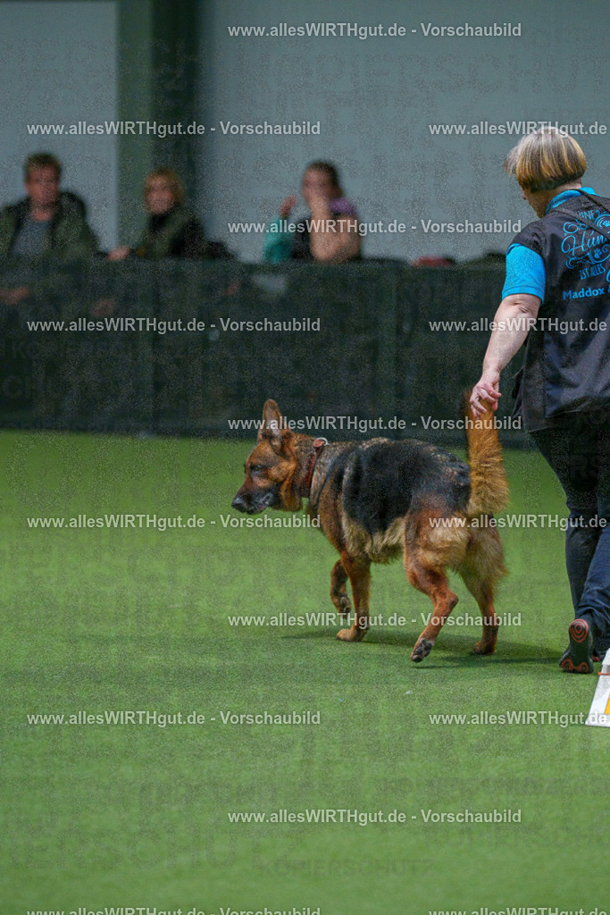 7R507943 | Professionelle Tierfotografie in Mönchengladbach von Daniel Wirth (allesWIRTHgut). Liebevolle & natürliche Bilder von Hunden & Katzen für unvergessliche Erinnerungen.