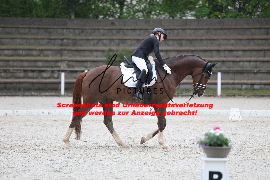 A40A7903 | lmwpictures - Realisiert mit Pictrs.com