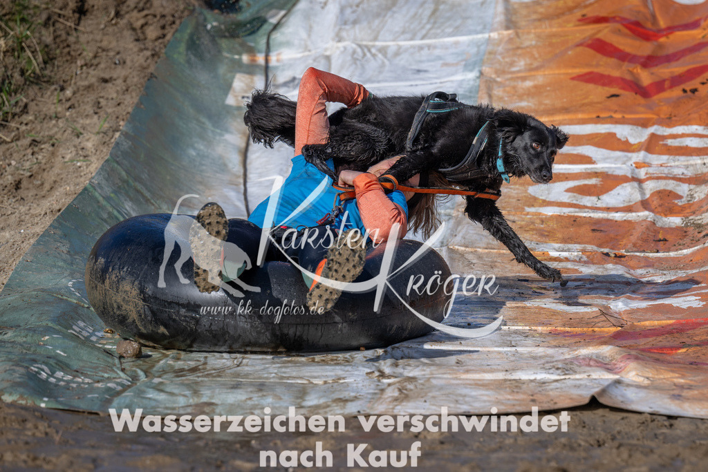 0911_ZZ91129 | kk-dogfotos