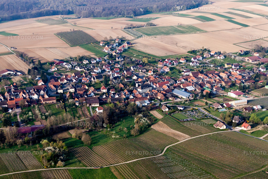 Aerial view: Agricultural fields and arable land in Steinseltz in the state Bas-Rhin, France.Photo: IMG_63658.jpg taken on 03/30/2014 by Werner Riehm/FLY-FOTO.comResolution of the original: 4419 x 2946 px