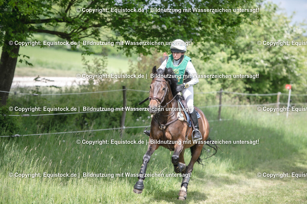 20250517_CCI1_Gelände_0167 | Foto: Thomas Hartig