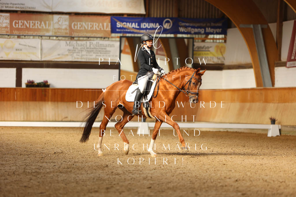 IMGM4102 | pl-fotografie