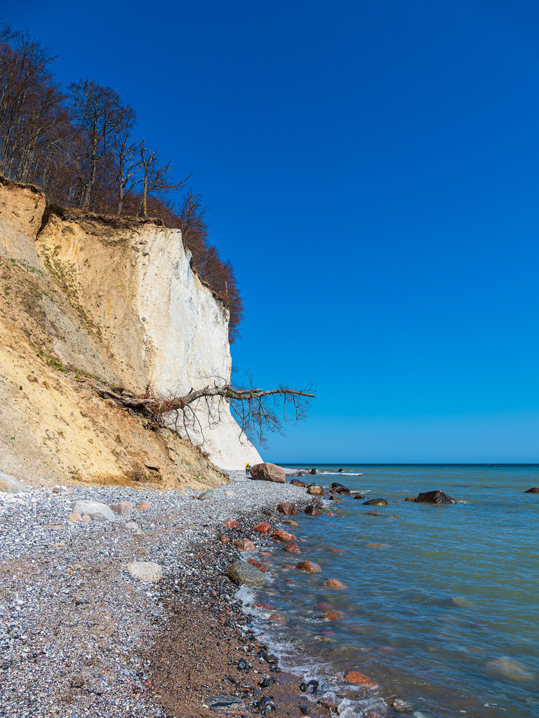 Kreidefelsen an der Küste der Ostsee auf der Insel Rügen | Kreidefelsen an der Küste der Ostsee auf der Insel Rügen.