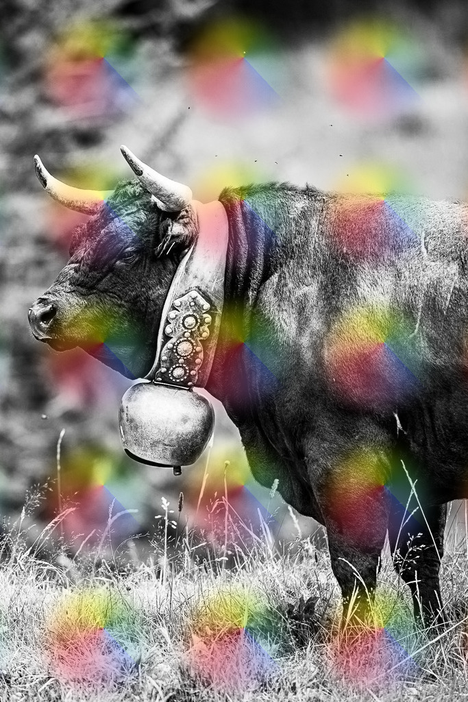 20240815-1M5A9056 | FineArtPrint, Hahnemühle, FeeGalerie, Fee Galerie, Fotokunst, Fotografie, Canonphotography, Bergfoto, Matterhorn, Rimpfischhorn, Allalinhorn, Saas-Fee, Wallis, Valais, Switzerland, Bergfotografie