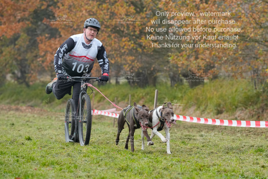 Visbeck_Sa_DS2DR2-47 | stephaniefillaphotographie - Realisiert mit Pictrs.com