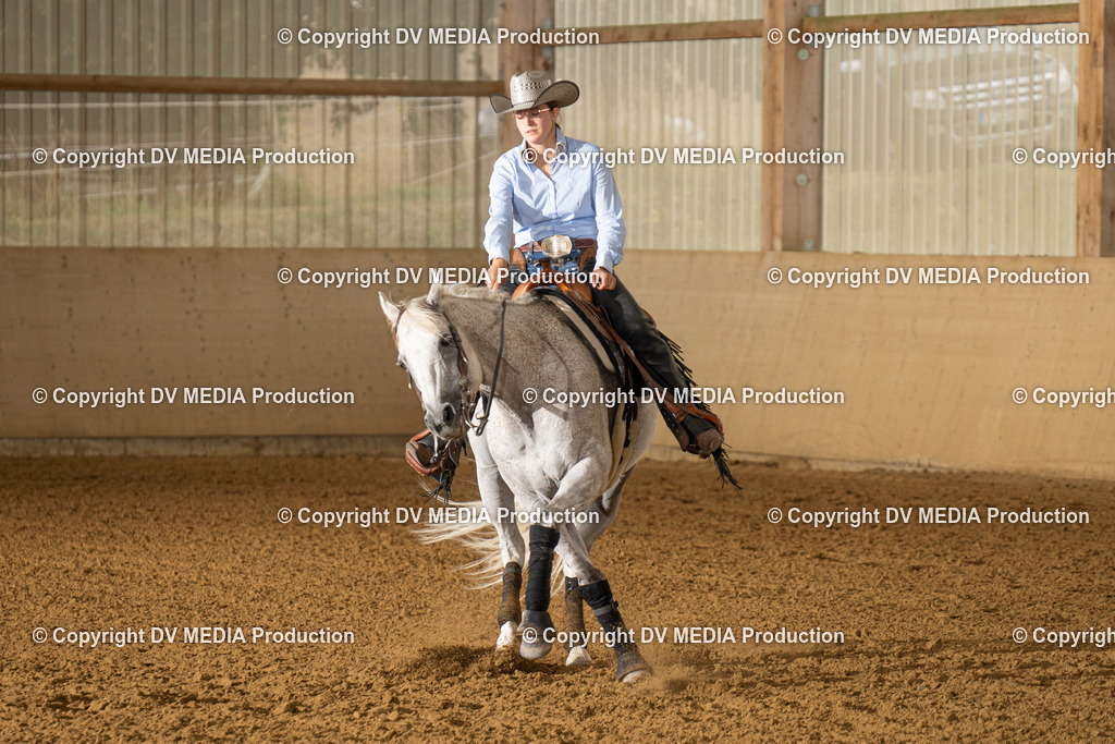 LAU00940 | dv-media-shop - Realisiert mit Pictrs.com