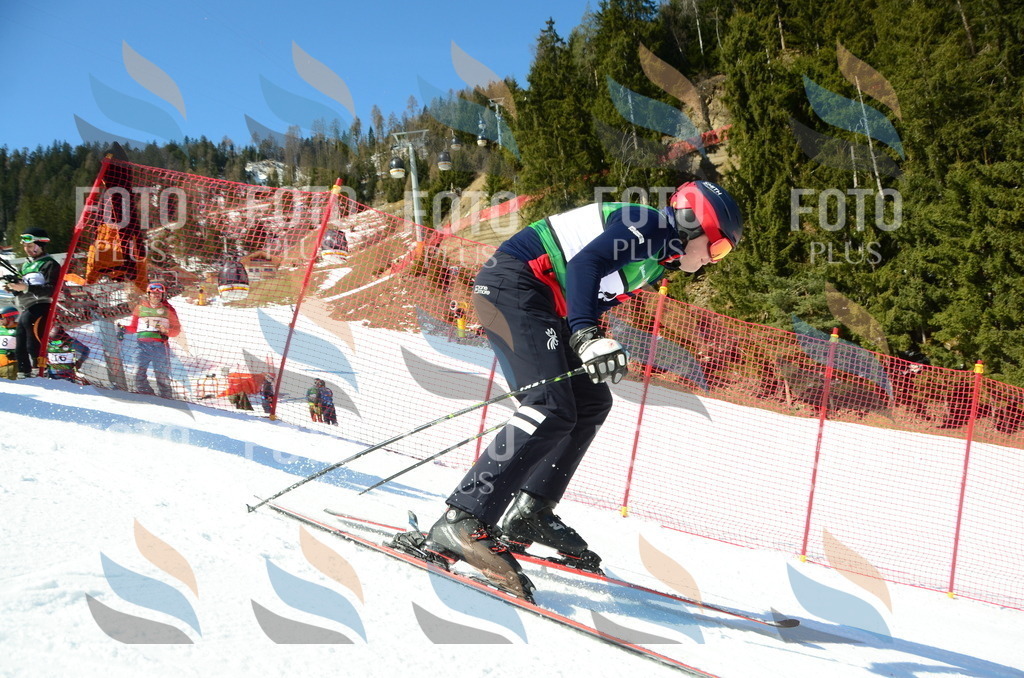 C6745 | holidayphoto