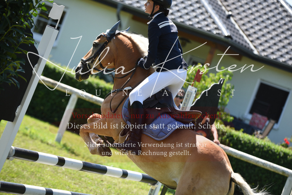 DSC_9625 | Pferde- und Turnierfotografie in Westsachsen. Pferdeportraits, Auftragszeichnungen und intuitive Kunst.