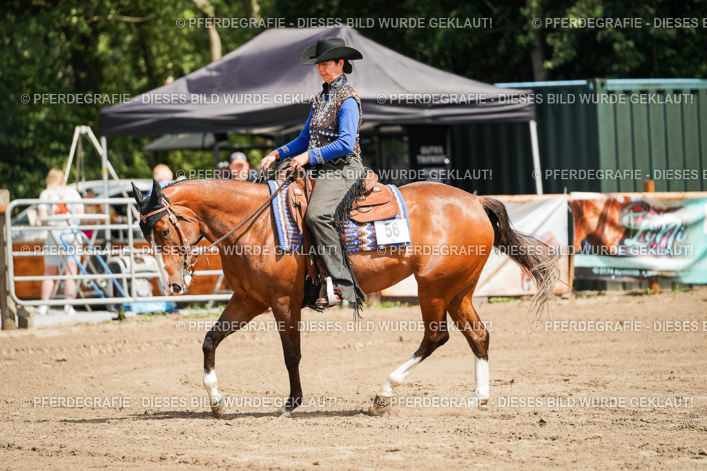 DSC06187 | Pferdegrafie