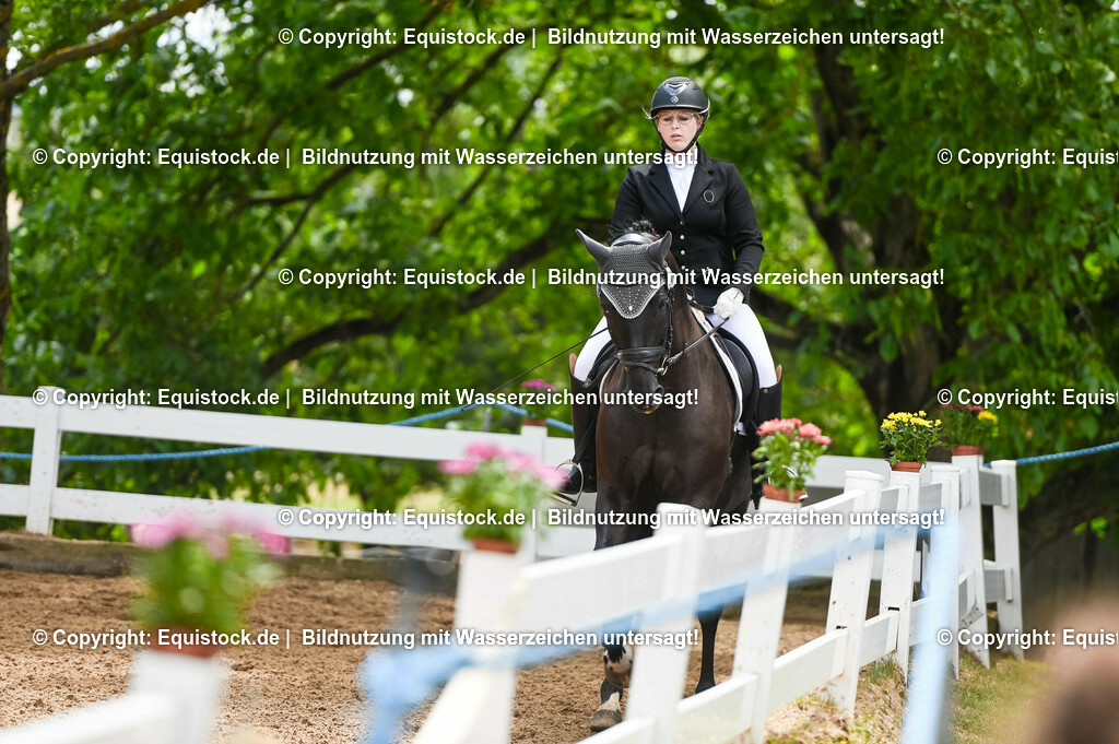 20230716_03_Dressurprfg. Kl.L - Tr._0193 | equistock