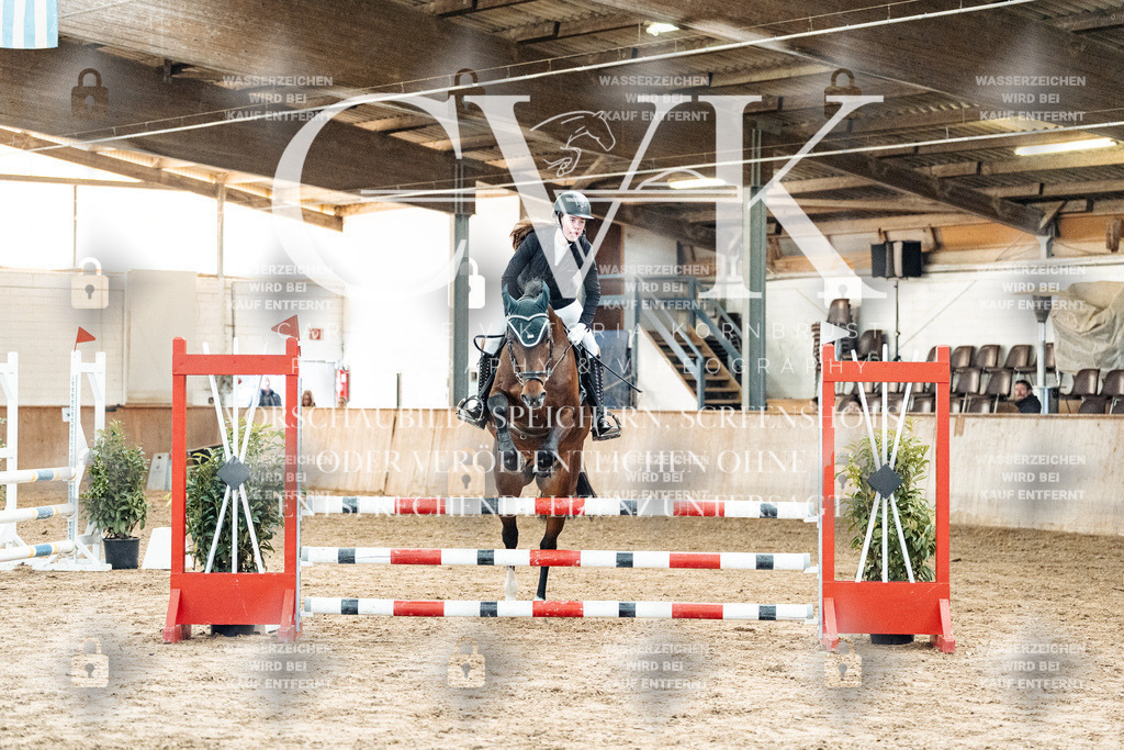 CK904315 | Turnierfotografie Pferdefotografie Trier Rheinland-Pfalz Pferdesport Reitsport Tierfotografie Sportfotografie Pferdevideo Pferdevideografie Equestrianvideography equestrianphotography  - Realized with Pictrs.com