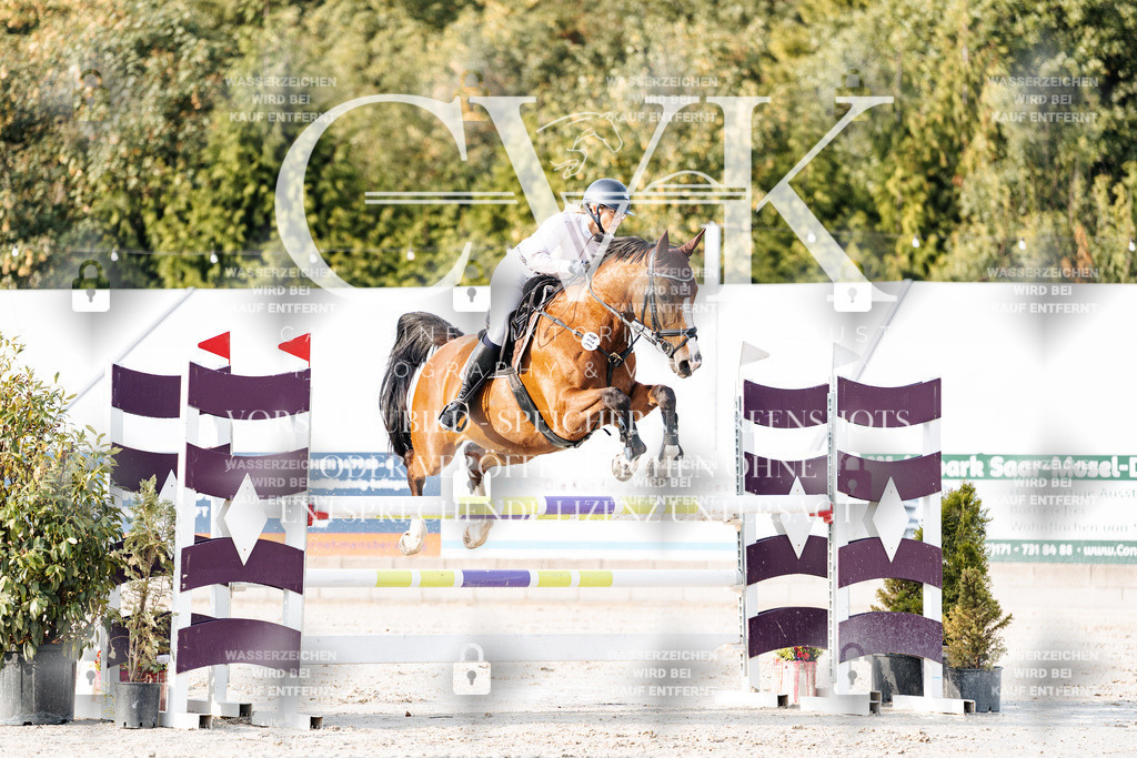 CK903328 | Turnierfotografie Pferdefotografie Trier Rheinland-Pfalz Pferdesport Reitsport Tierfotografie Sportfotografie Pferdevideo Pferdevideografie Equestrianvideography equestrianphotography  - Realisiert mit Pictrs.com