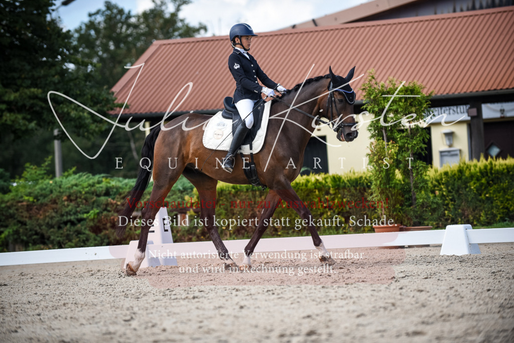 DSC_9411 | Pferde- und Turnierfotografie in Westsachsen. Pferdeportraits, Auftragszeichnungen und intuitive Kunst.