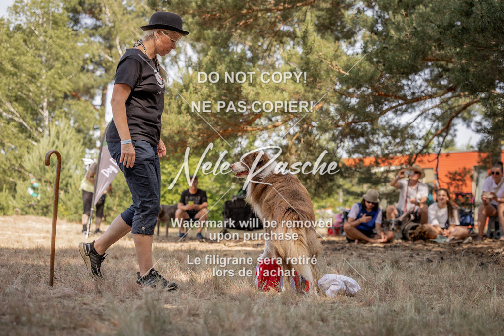 nelerasche_soDD2_125 | nelerasche