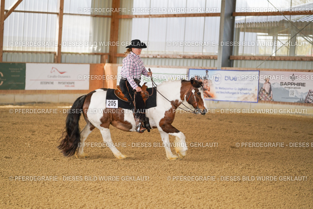 DSC02445 | Pferdegrafie