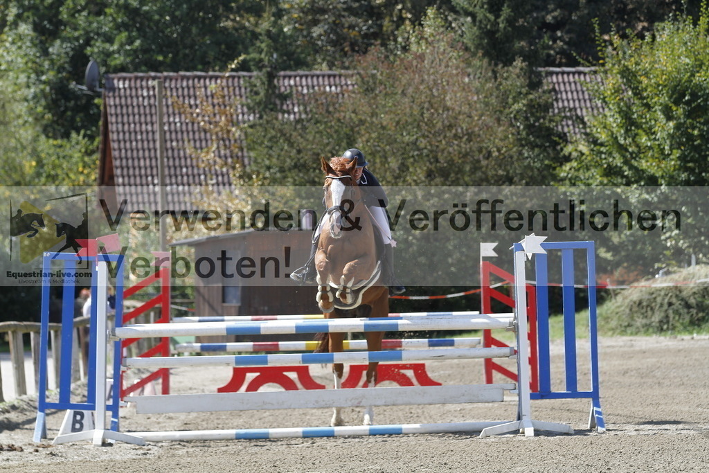 _MG_6203 | equestrian-live-com