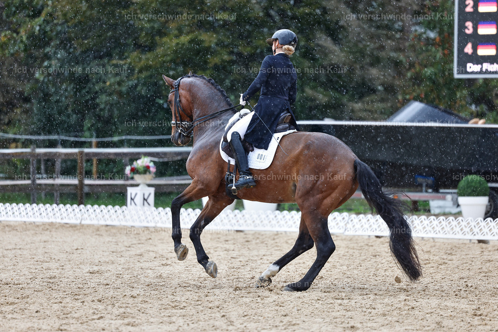 8_1-001-Klasse S_  -StoibPH-3970 | working equitationturnier fotograf videograf stoibphotography marixx film working equitation deutschland reitsport turnierfotografie eventfotografie equestrian events