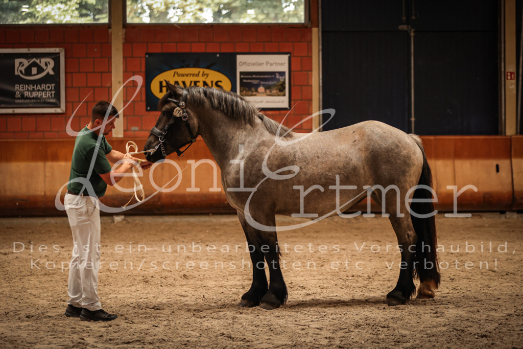 SaFL00326 | Leoni Ertmer Photography - Realisiert mit Pictrs.com