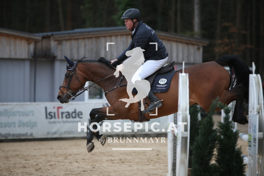 AS8V0526 | Willkommen bei Brunnmayr - Design & Fotografie – Ihrem Spezialisten für Reitturniere und Pferdeveranstaltungen in Oberösterreich, Salzburg und Bayern! Seit über 17 Jahren sind wir leidenschaftlich dabei.
