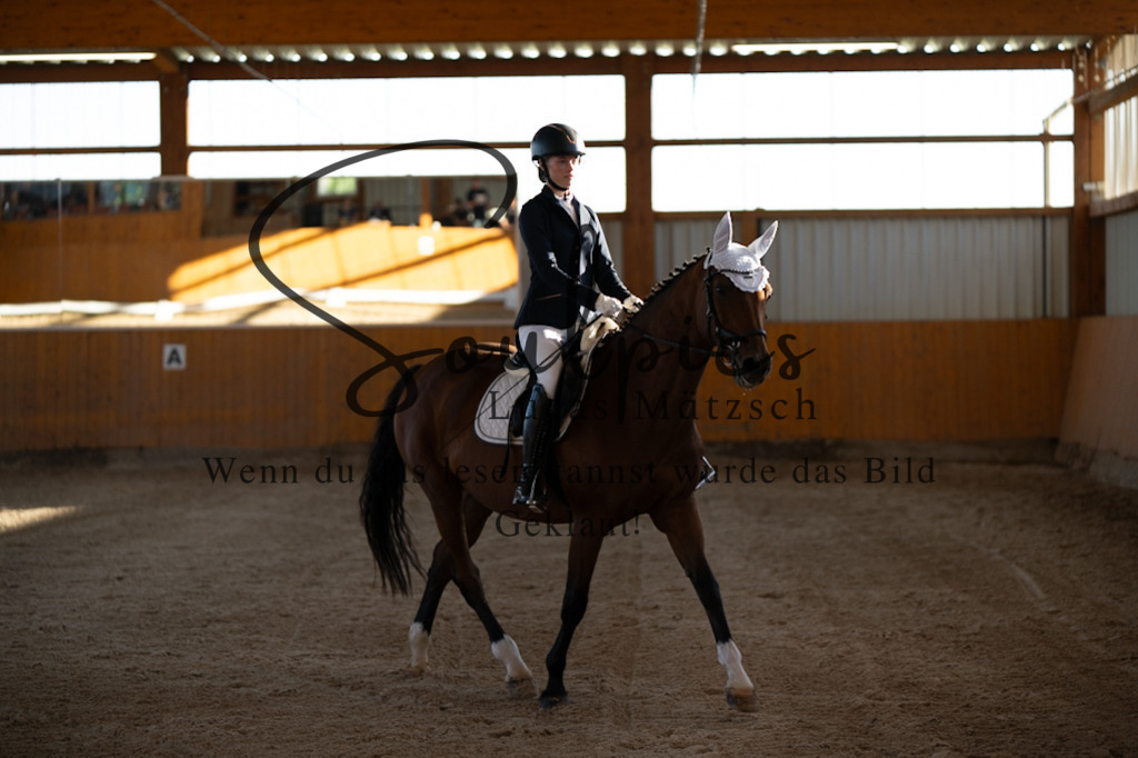 A7V01602 | Turnier/Reitfotograf