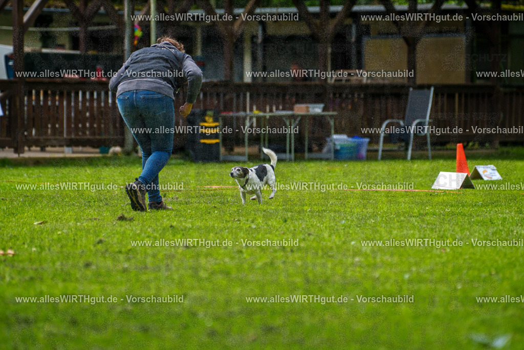 @allesWIRTHgut_Tierfotografie - www.allesWIRTHgut.de - 083143-7R506306 | Professionelle Tierfotografie in Mönchengladbach von Daniel Wirth (allesWIRTHgut). Liebevolle & natürliche Bilder von Hunden & Katzen für unvergessliche Erinnerungen.
