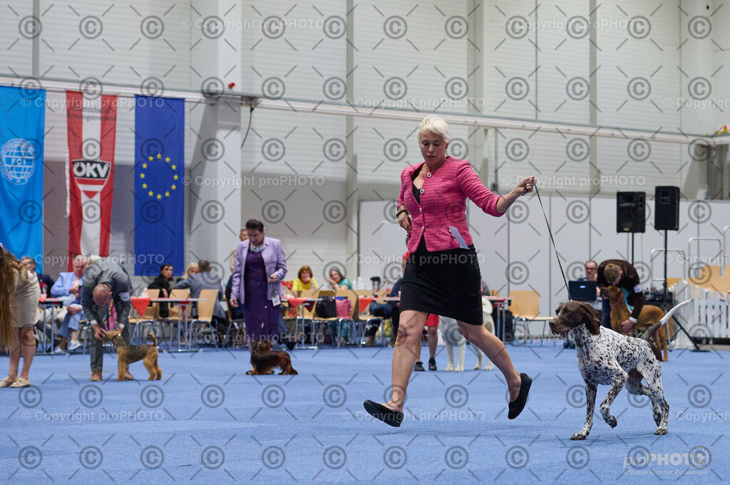 202406_ÖKV-IHA-Tulln24_DSC_3385 | proPHOTO - Realisiert mit Pictrs.com