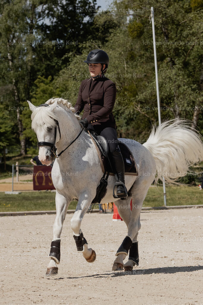 WE_ST_Stoib_318_PI2025_961 | Pferd International München 2025