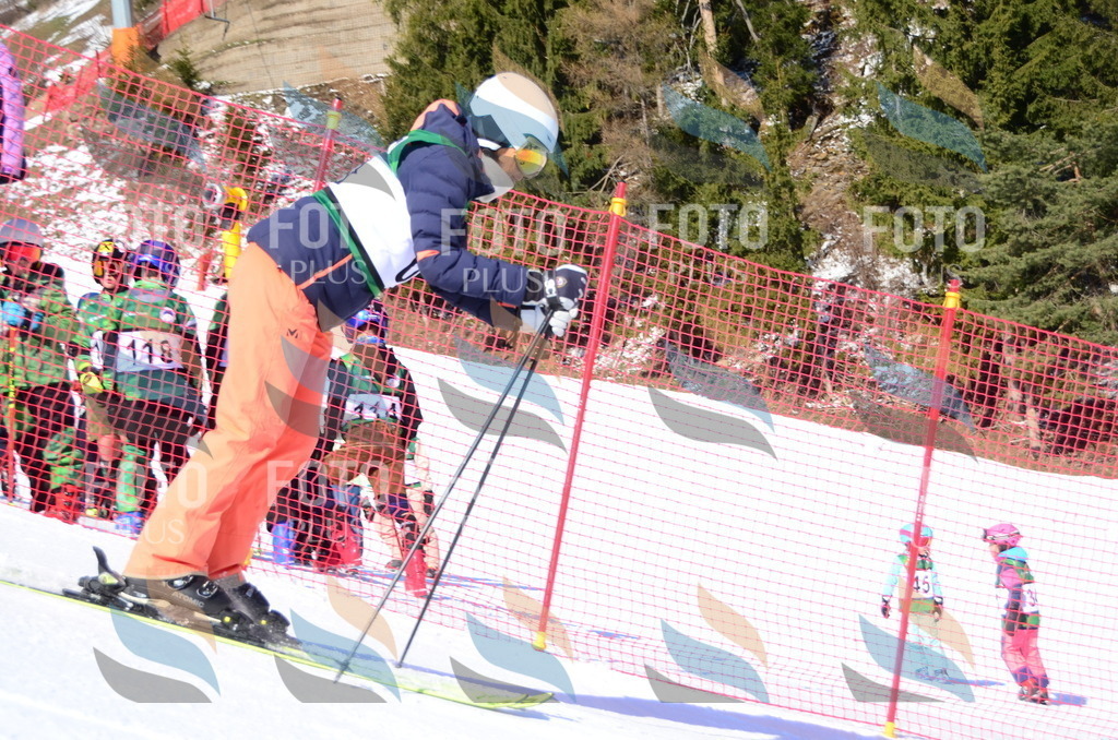 C4483 | holidayphoto