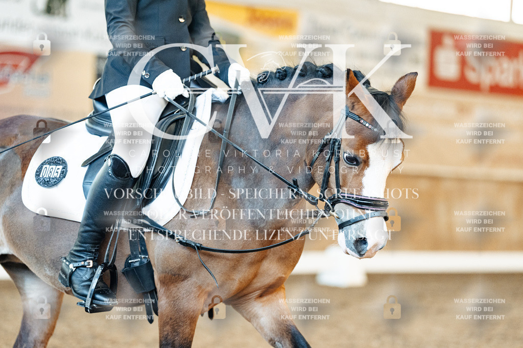 CK907531 | Turnierfotografie Pferdefotografie Trier Rheinland-Pfalz Pferdesport Reitsport Tierfotografie Sportfotografie Pferdevideo Pferdevideografie Equestrianvideography equestrianphotography  - Realisiert mit Pictrs.com
