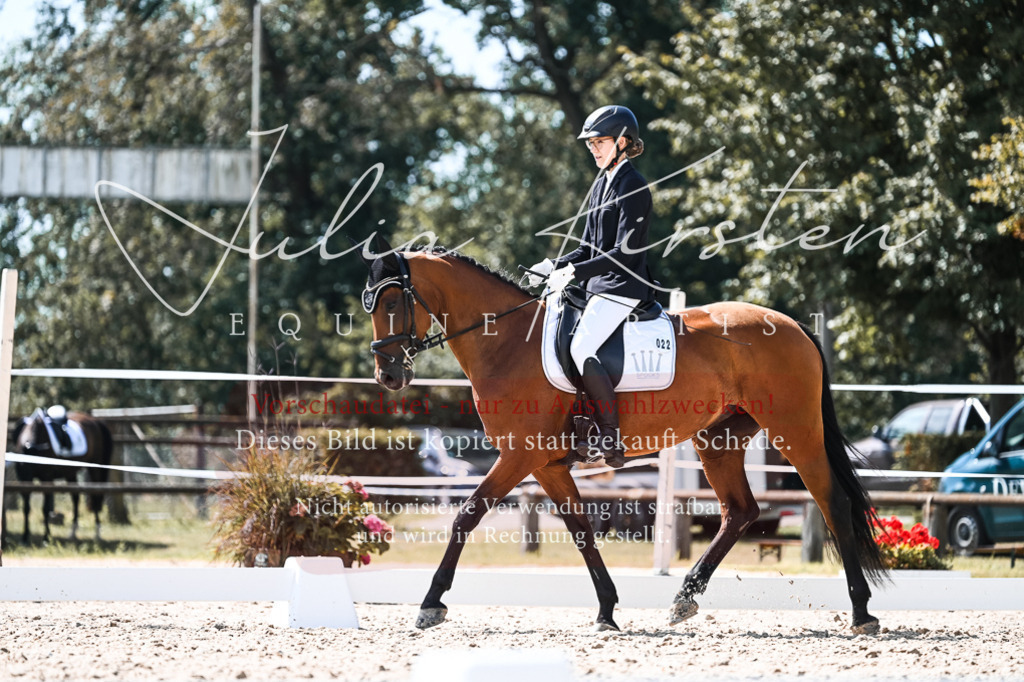 DSC_5472 | Pferde- und Turnierfotografie in Westsachsen. Pferdeportraits, Auftragszeichnungen und intuitive Kunst.