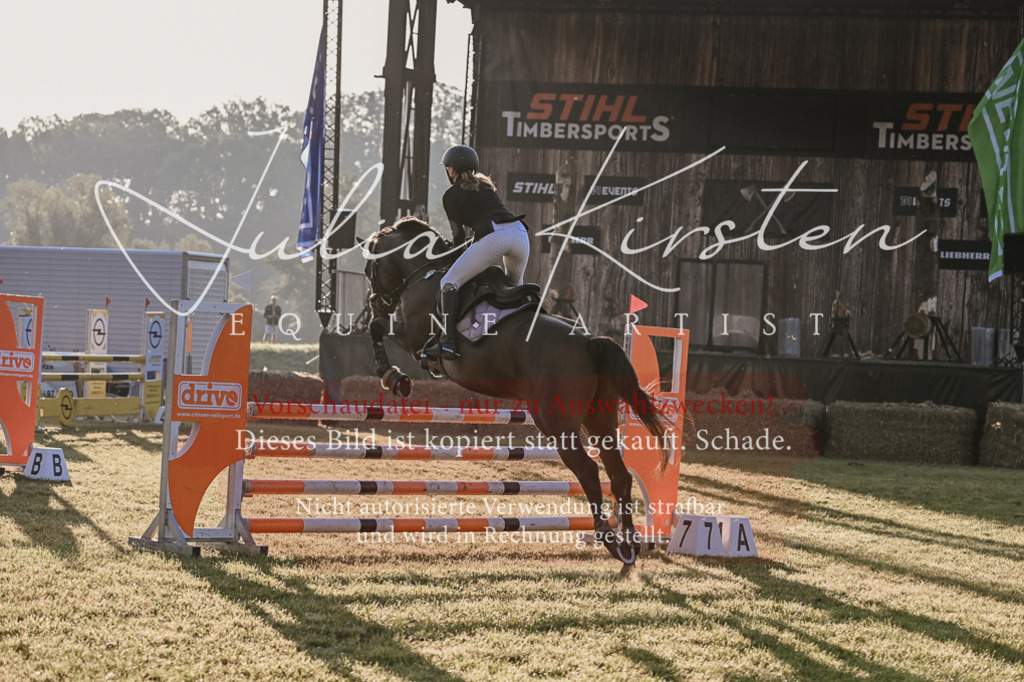 DSC_3788 | Pferde- und Turnierfotografie in Westsachsen. Pferdeportraits, Auftragszeichnungen und intuitive Kunst.