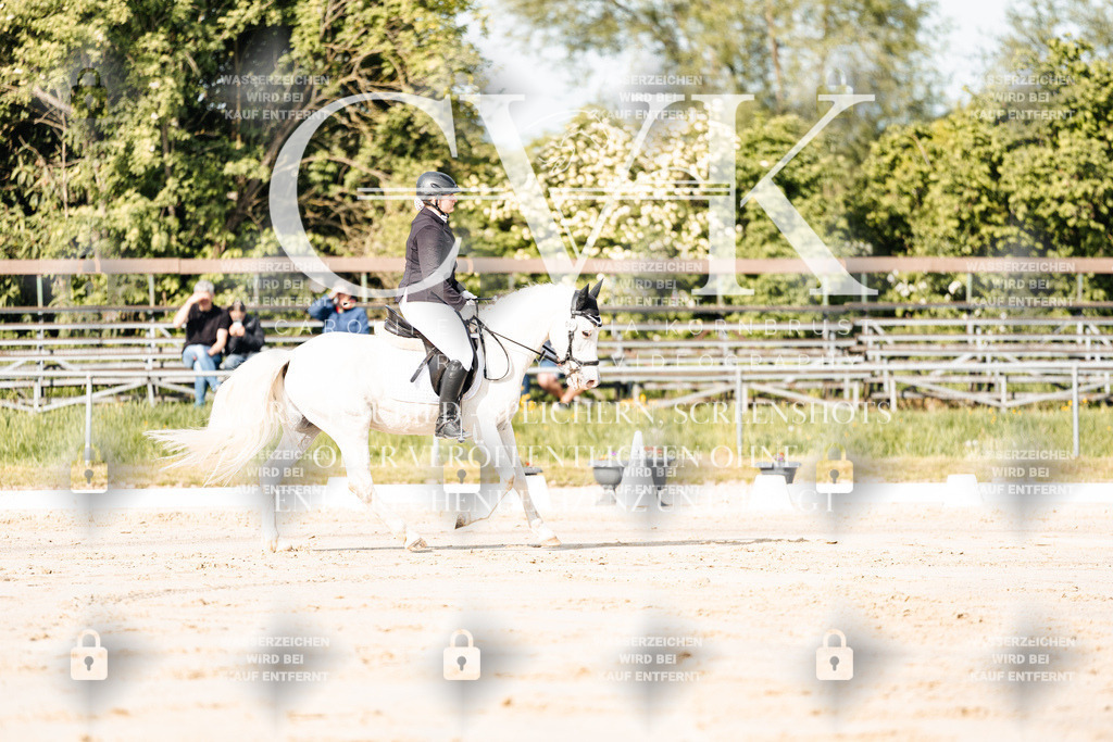 CK900025 | Turnierfotografie Pferdefotografie Trier Rheinland-Pfalz Pferdesport Reitsport Tierfotografie Sportfotografie Pferdevideo Pferdevideografie Equestrianvideography equestrianphotography  - Realisiert mit Pictrs.com