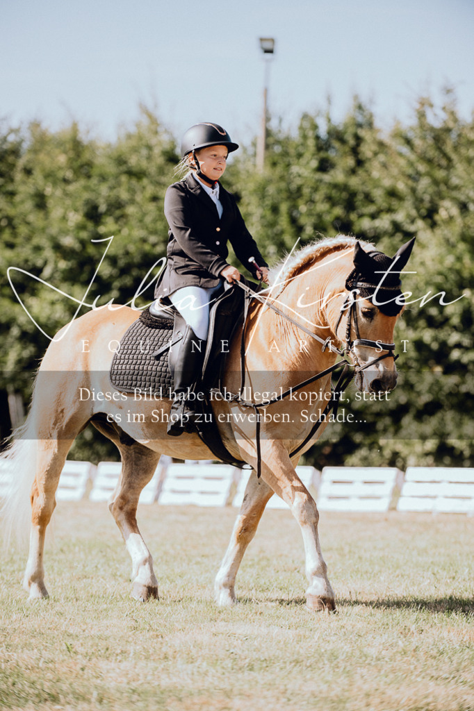 DSC_7108 | Pferde- und Turnierfotografie in Westsachsen. Pferdeportraits, Auftragszeichnungen und intuitive Kunst.