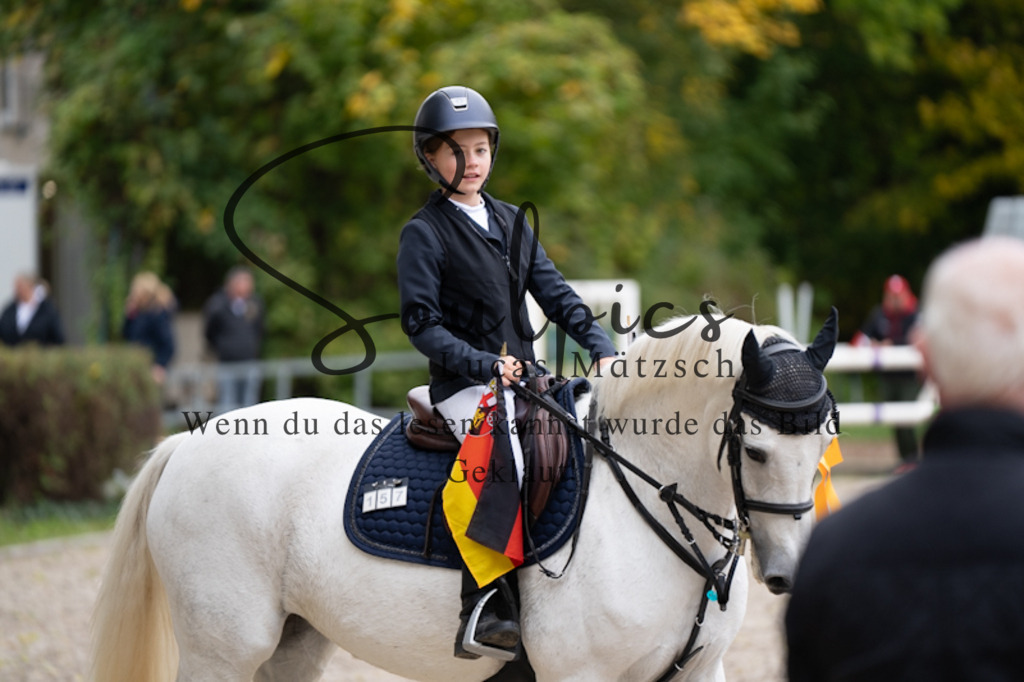 A7V09573 | Pferdefotograf