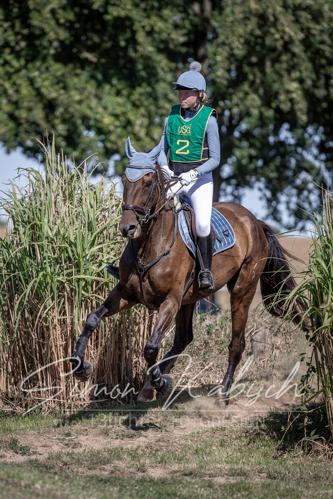 20260906-_3LI5026 | Tierfotografie Pferde, Hunde, Katzen, Haustiere.
Turnierfotografie Reitturniere, Reiten, Springreiten, Dressur in Hanau, dem Main-Kinzig-Kreis und dem Rhein-Main- Gebiet um Frankfurt
