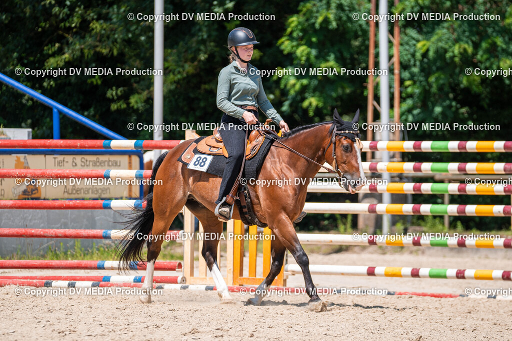 Zeiskam Tag 1-571 | dv-media-shop - Realisiert mit Pictrs.com