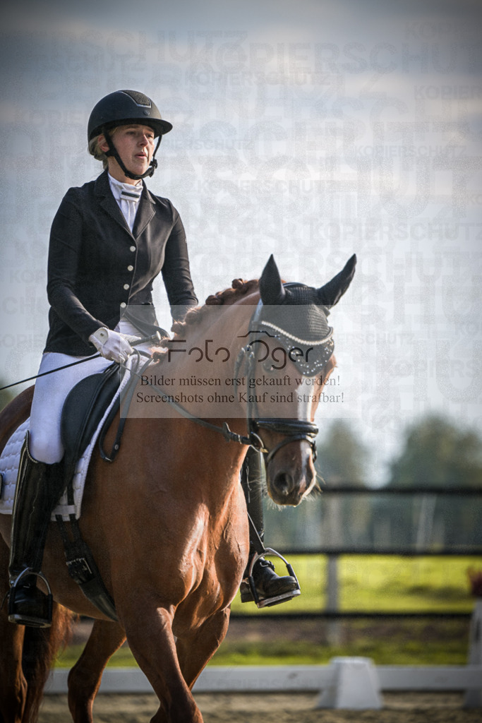 DOS_3564 | Entdecke hochwertige Reitturnierfotos von Foto Oger. Professionell, emotional und authentisch – jetzt Lieblingsmomente im Shop bestellen.Deutschlandweite Turnierfotografie. - Realisiert mit Pictrs.com