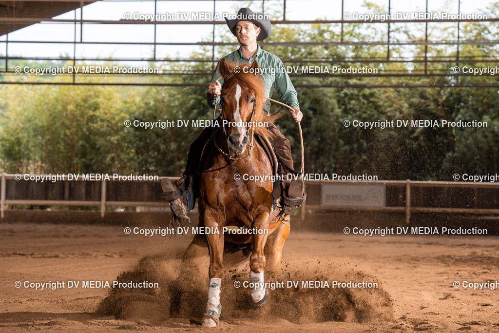 Erbach Tag 2-776 | dv-media-shop - Realisiert mit Pictrs.com