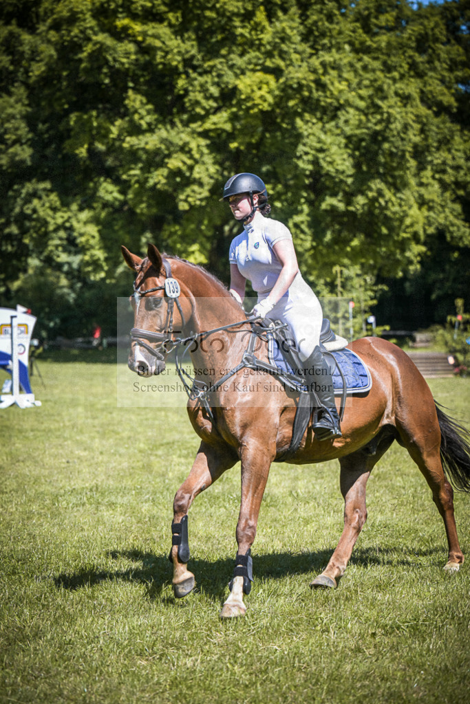 DOS_3753 | Entdecke hochwertige Reitturnierfotos von Foto Oger. Professionell, emotional und authentisch – jetzt Lieblingsmomente im Shop bestellen.Deutschlandweite Turnierfotografie. - Realisiert mit Pictrs.com