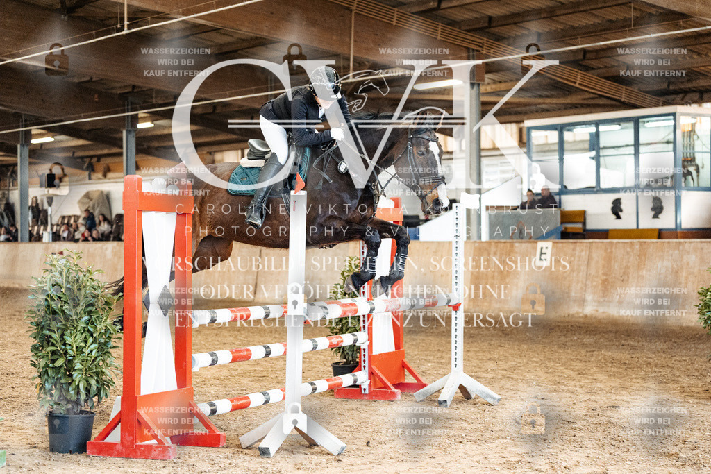 CK905359 | Turnierfotografie Pferdefotografie Trier Rheinland-Pfalz Pferdesport Reitsport Tierfotografie Sportfotografie Pferdevideo Pferdevideografie Equestrianvideography equestrianphotography  - Realized with Pictrs.com