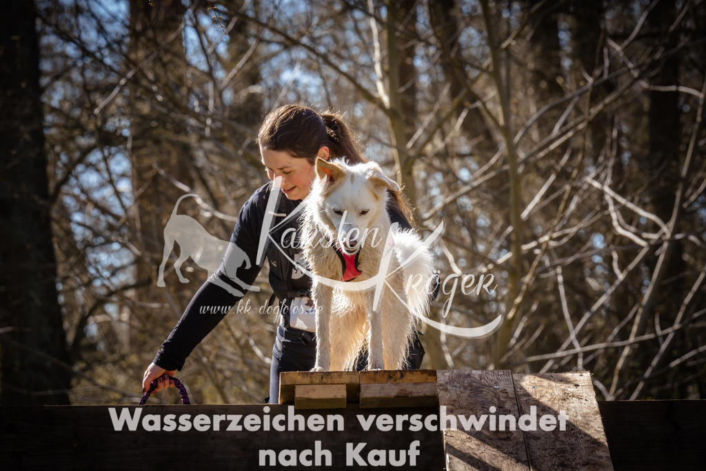 0927_ZZ95715 | kk-dogfotos