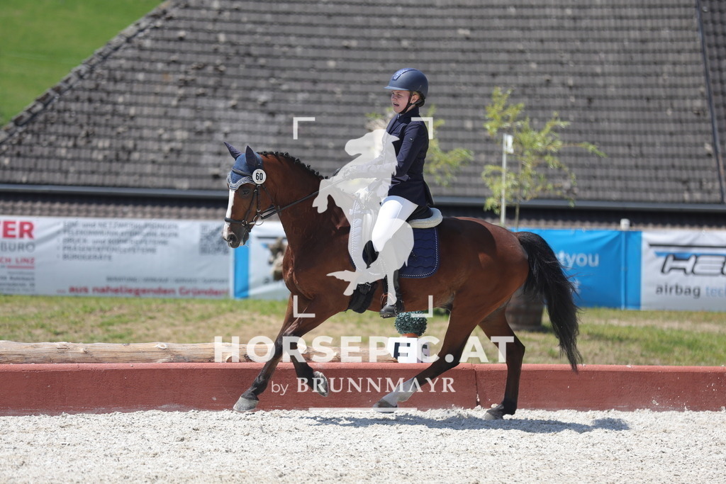 0P6A6341 | Willkommen bei Brunnmayr - Design & Fotografie – Ihrem Spezialisten für Reitturniere und Pferdeveranstaltungen in Oberösterreich, Salzburg und Bayern! Seit über 17 Jahren sind wir leidenschaftlich dabei.