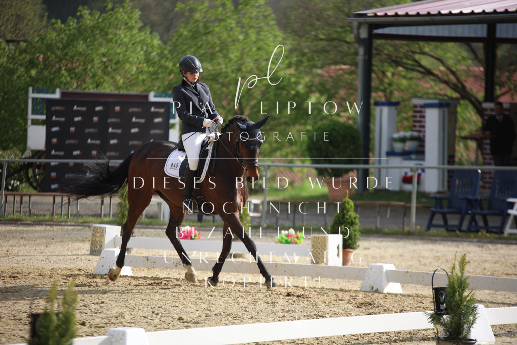 IMGT7189 | pl-fotografie