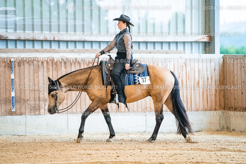 DSC09925 | Pferdegrafie